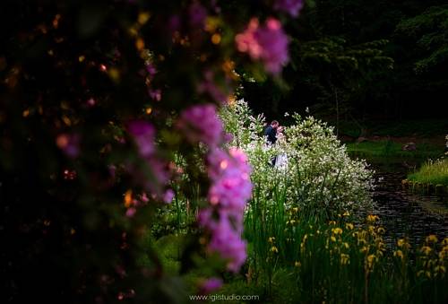 28 fotografia ślubna igistudio