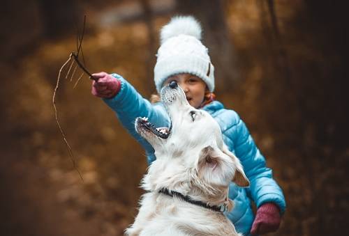 Zabawa dziecka z psem